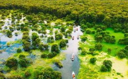 Rừng tràm Trà Sư An Giang