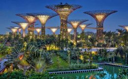 Gardens By The Bay