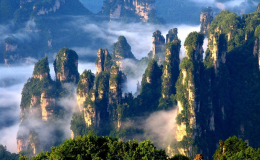Trương Gia Giới